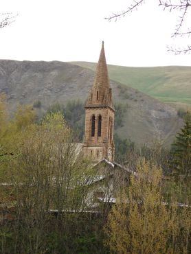 Le clocher derrière les arbres